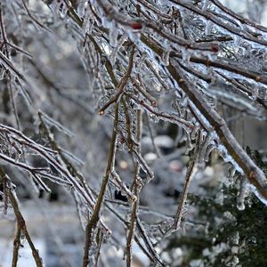 Meet your Posher, Celyna